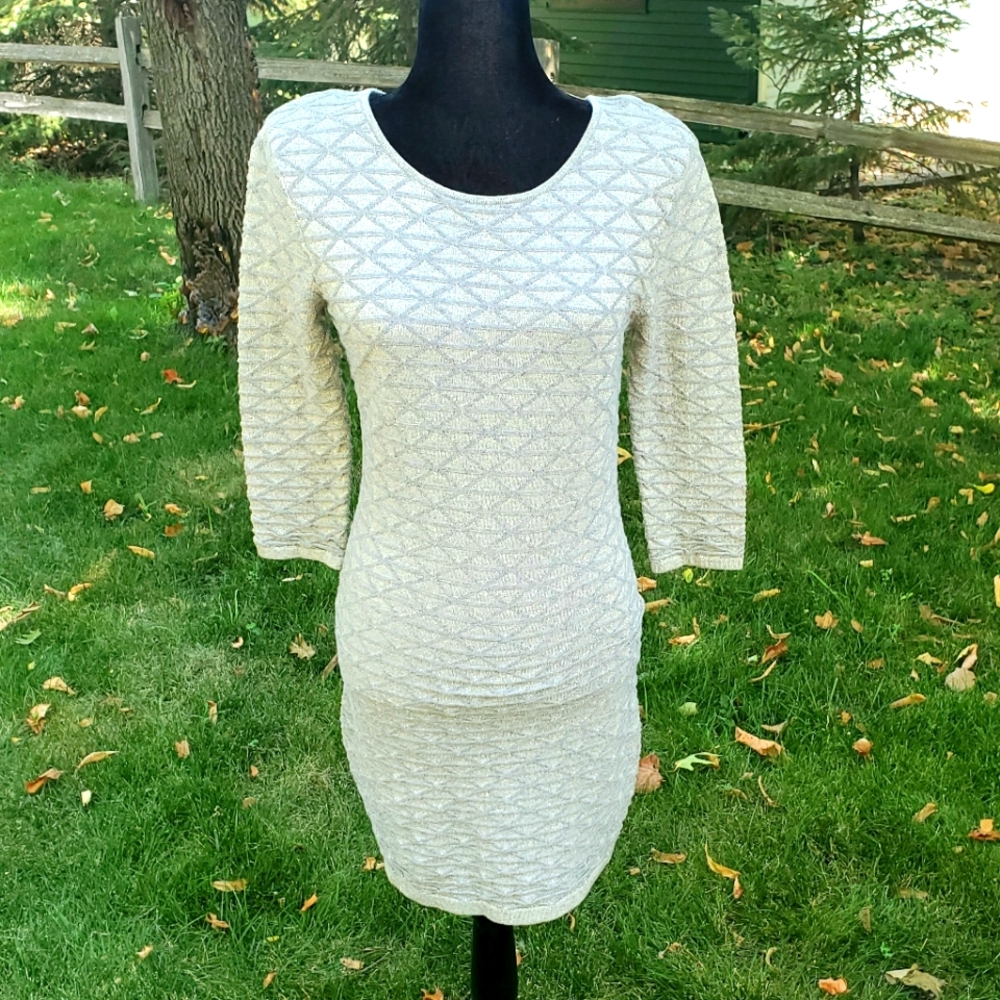 Gray/Silver Sweater Dress